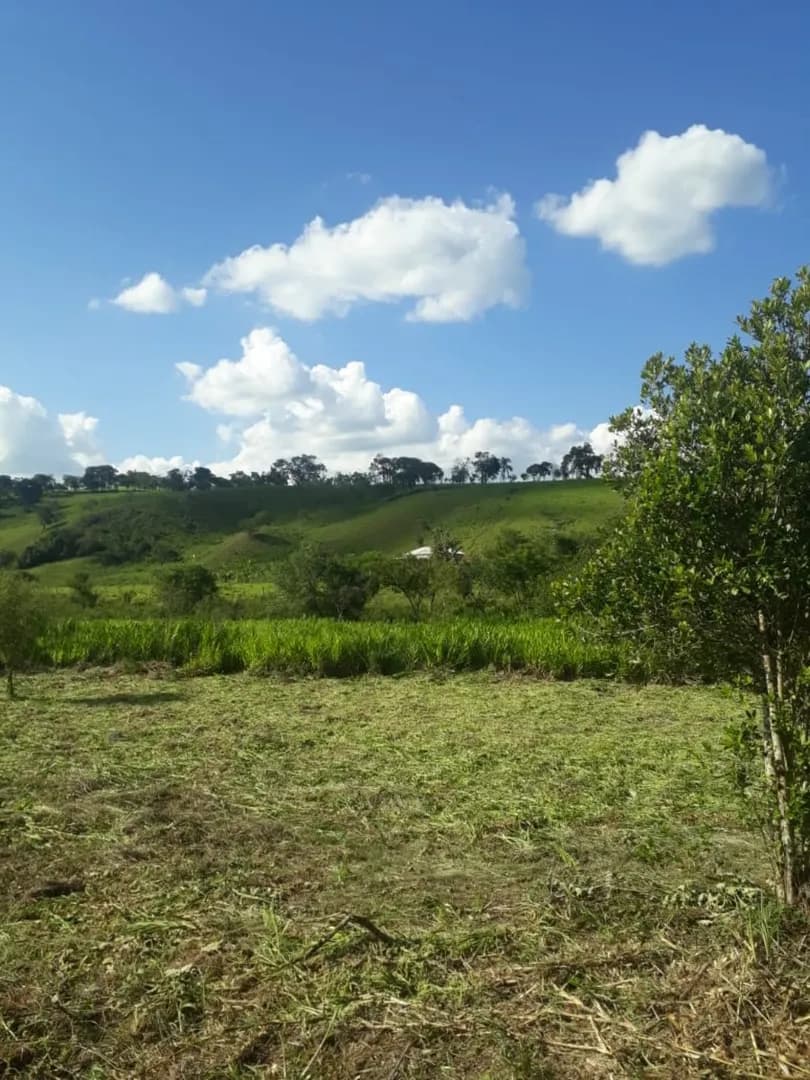 Imóvel em Zona Rural, São Brás do Suaçuí - MG