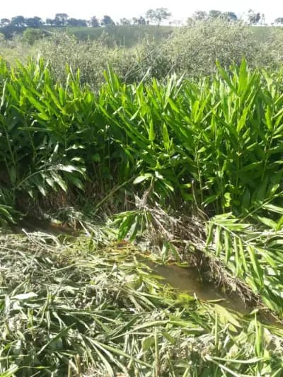 Imóvel em Zona Rural, São Brás do Suaçuí - MG — foto 2