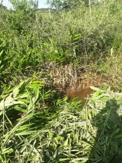 Imóvel em Zona Rural, São Brás do Suaçuí - MG — foto 3