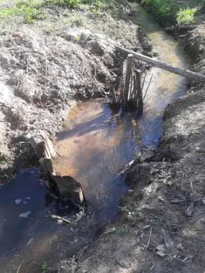 Imóvel em Zona Rural, São Brás do Suaçuí - MG — foto 5