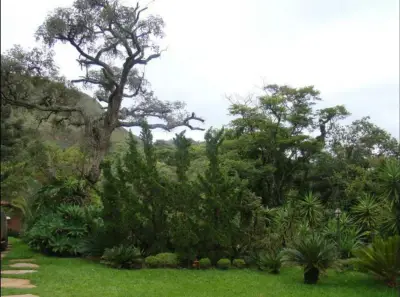 Imóvel em Jardins de Petropolis, Nova Lima - MG — foto 3
