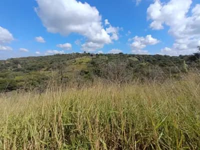 Imóvel em Quintas da Fazendinha, Matozinhos - MG — foto 4