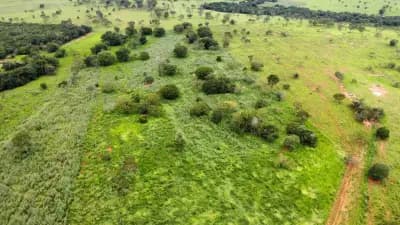 Imóvel em Zona Rural, Morada Nova de Minas - MG — foto 4