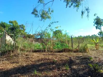 Imóvel em Zona Rural, Paraopeba - MG — foto 2
