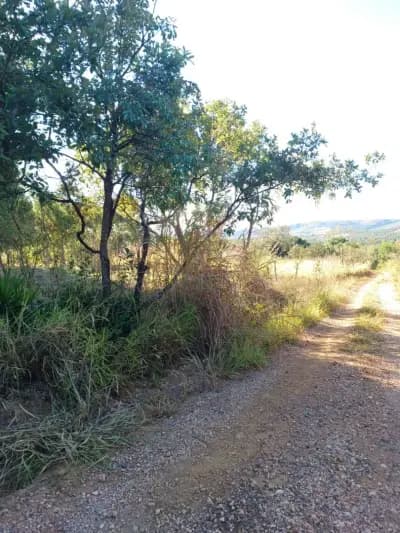 Imóvel em Zona Rural, Paraopeba - MG — foto 3