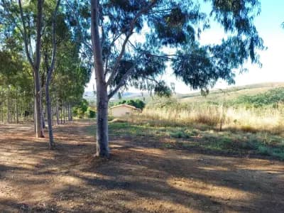 Imóvel em Zona Rural, Paraopeba - MG — foto 4