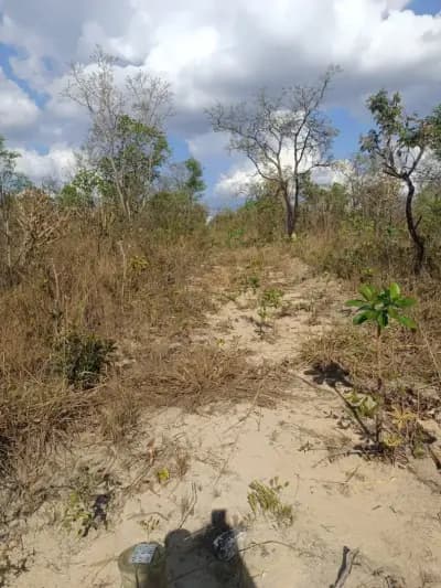 Imóvel em Amarillys, Esmeraldas - MG — foto 4