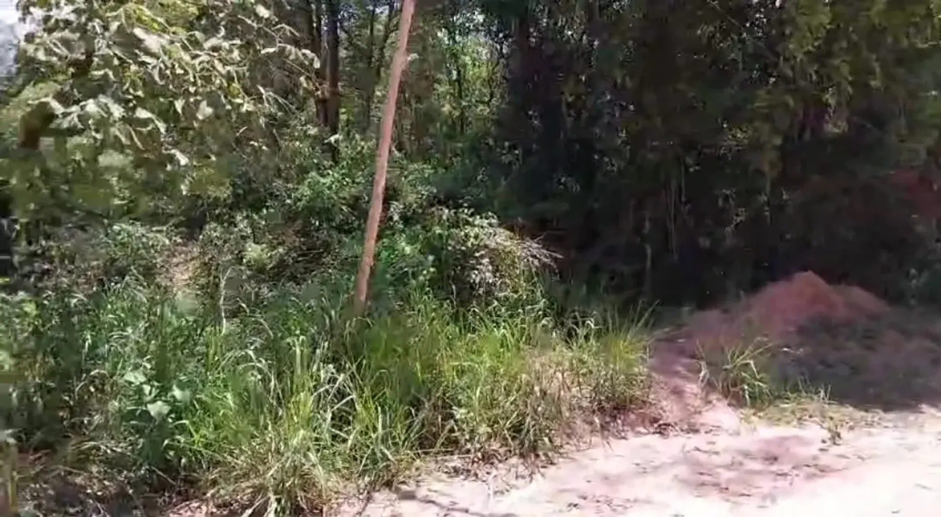 Imóvel em São José, Esmeraldas - MG