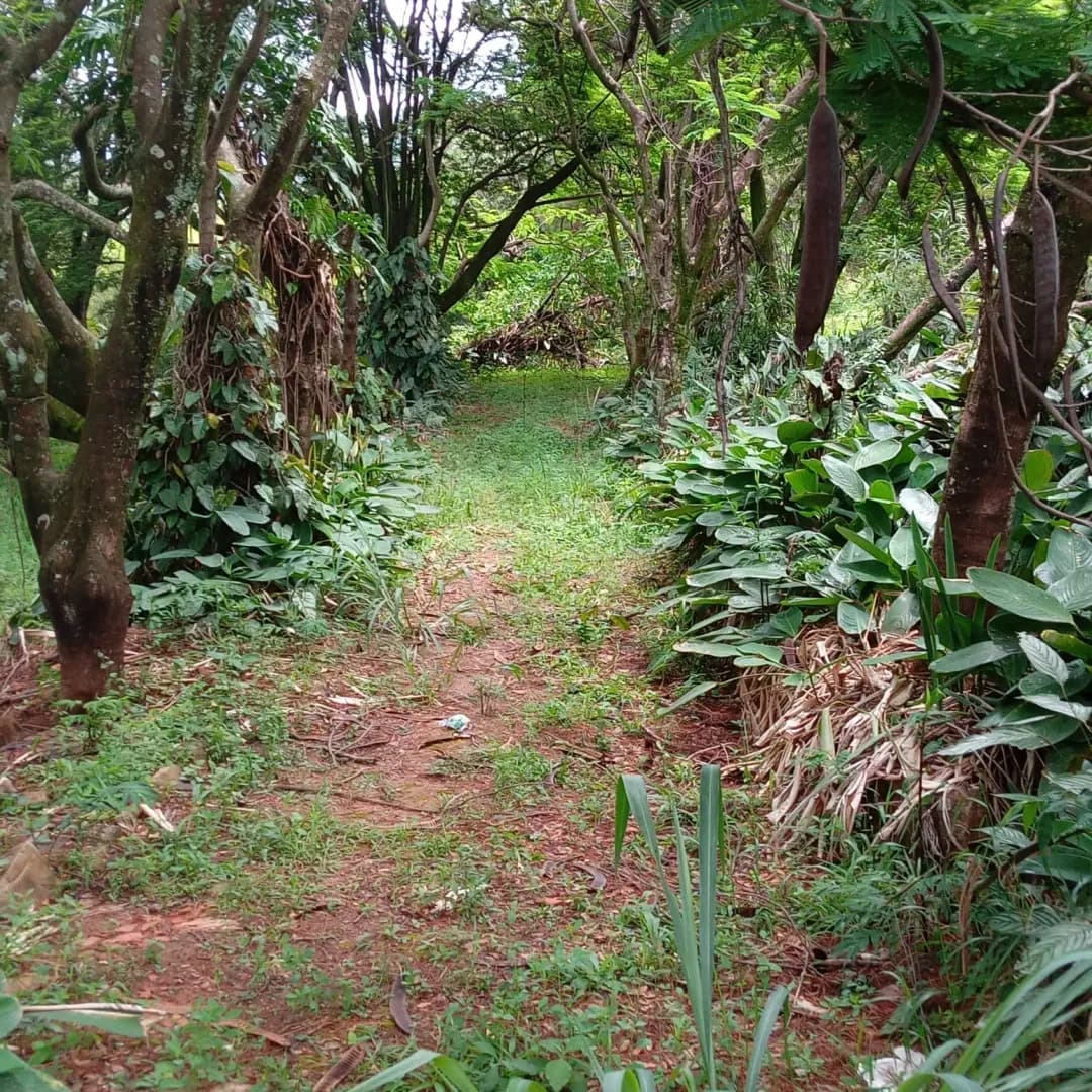 Imóvel em Bosques de Ibirite, Ibirité - MG