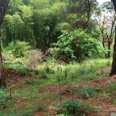 Imóvel em Bosques de Ibirite, Ibirité - MG — foto 2