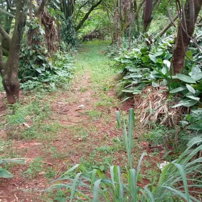 Imóvel em Bosques de Ibirite, Ibirité - MG — foto 4