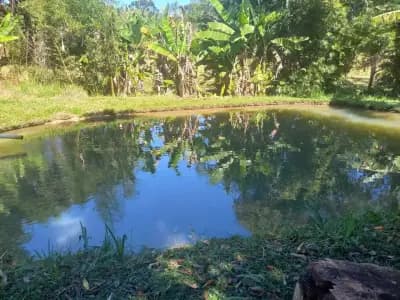 Imóvel em Bação, Itabirito - MG