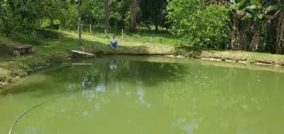 Imóvel em Bação, Itabirito - MG — foto 2