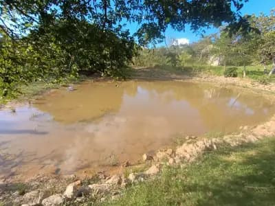 Imóvel em Zona Rural, Taquaraçu de Minas - MG — foto 3