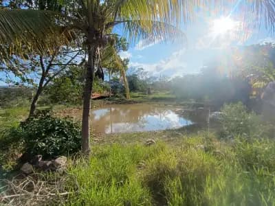 Imóvel em Zona Rural, Taquaraçu de Minas - MG — foto 4