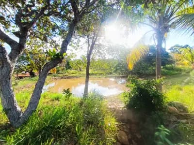 Imóvel em Zona Rural, Taquaraçu de Minas - MG — foto 5