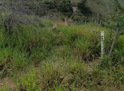 Imóvel em Ravena, Sabará - MG — foto 2