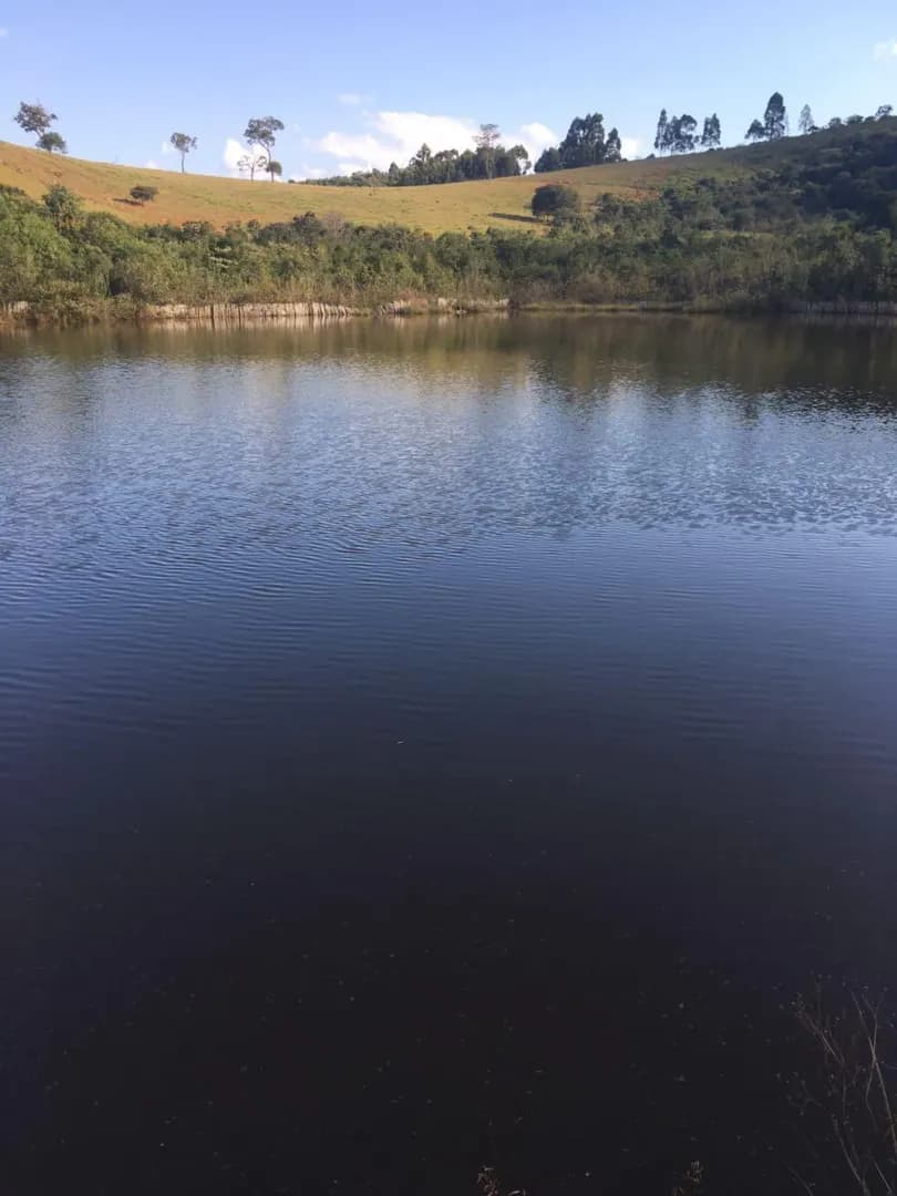 Imóvel em Zona Rural, Resende Costa - MG