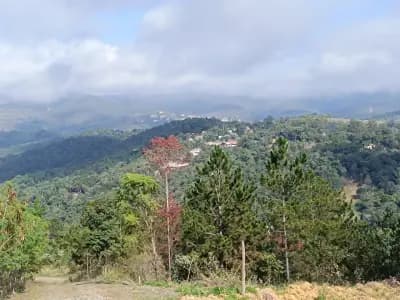 Imóvel em Macacos, Nova Lima - MG — foto 5