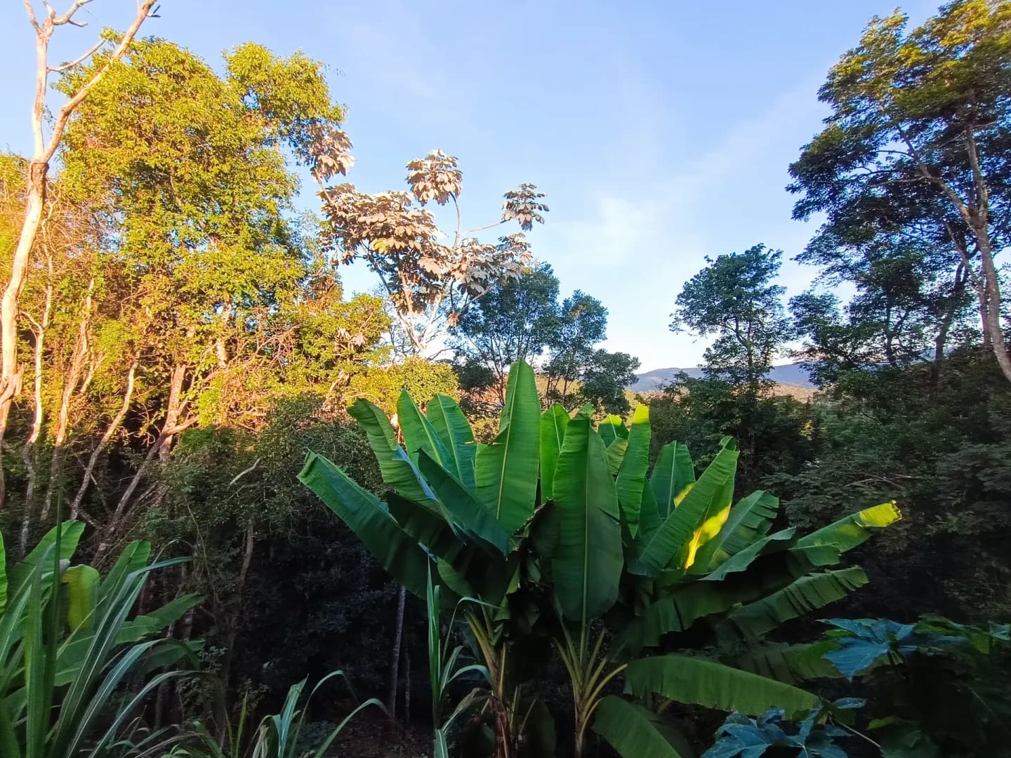 Imóvel em Macacos, Nova Lima - MG