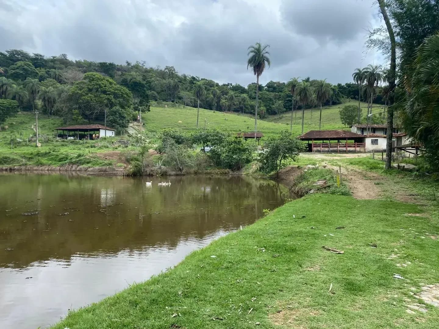 Imóvel em Sitio Novo, Mateus Leme - MG