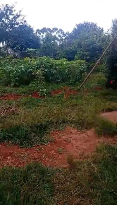 Imóvel em Zona Rural, Entre Rios de Minas - MG — foto 4