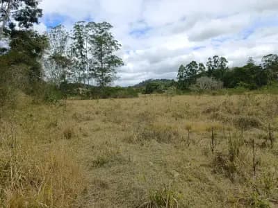Imóvel em Area Rural de Vicosa, Viçosa - MG — foto 2