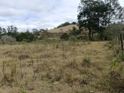 Imóvel em Area Rural de Vicosa, Viçosa - MG — foto 4