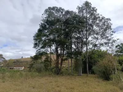 Imóvel em Area Rural de Vicosa, Viçosa - MG — foto 5