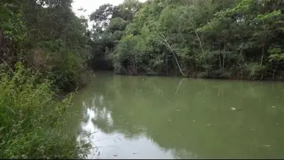 Imóvel em Quintas da Fazendinha, Matozinhos - MG