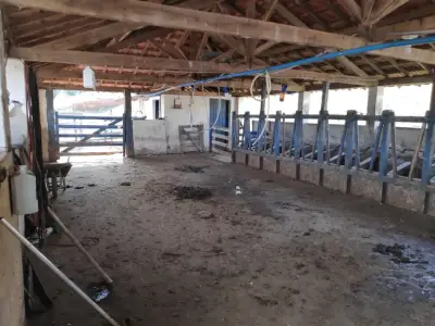 Imóvel em Zona Rural, São Tiago - MG — foto 2