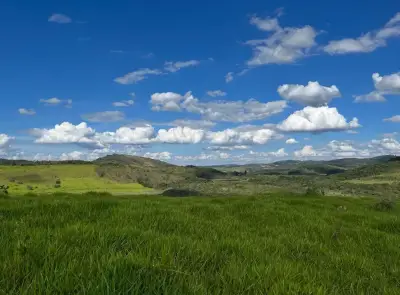 Imóvel em Zona Rural, Oliveira - MG — foto 2