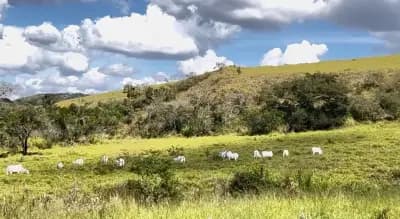 Imóvel em Zona Rural, Oliveira - MG — foto 3