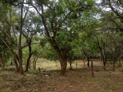 Imóvel em Angicos, Vespasiano - MG — foto 5