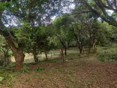 Imóvel em Zona Rural, Taquaraçu de Minas - MG — foto 2