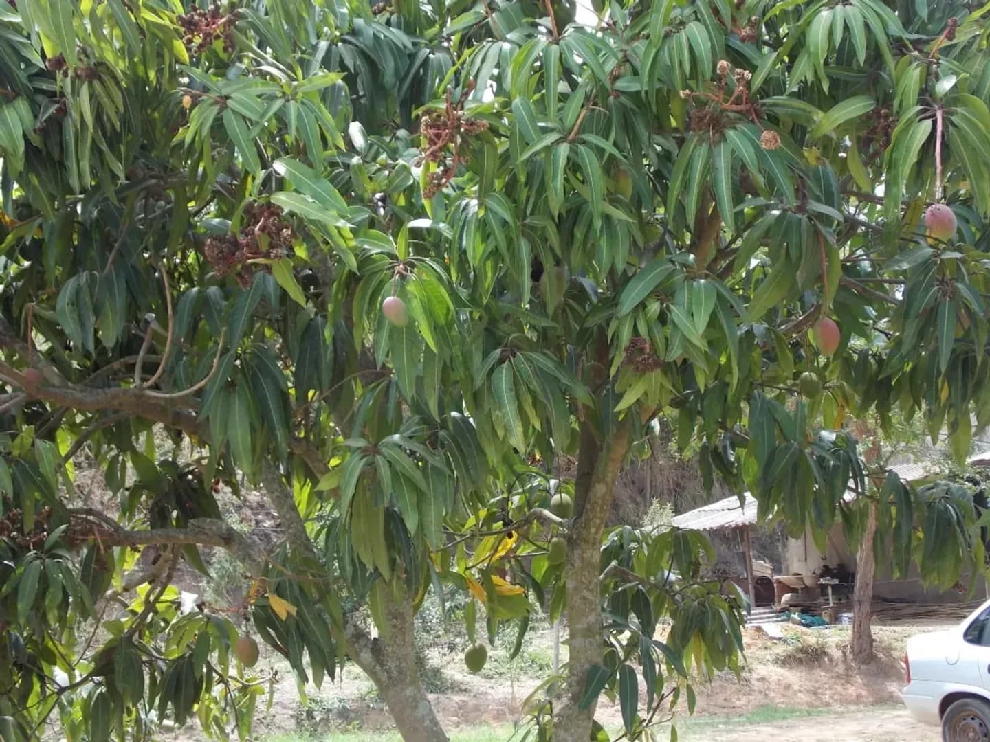 Imóvel em Estancia Do Sereno Ptb, Betim - MG