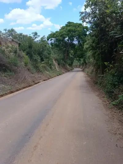 Imóvel em Santa Terezinha de Minas, Itatiaiuçu - MG — foto 4