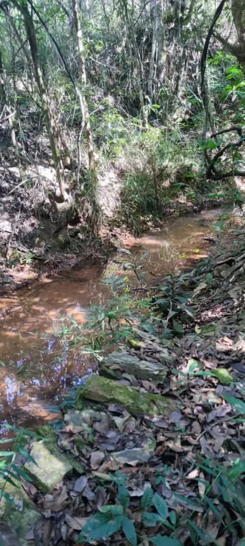 Imóvel em Centro, Caetanópolis - MG