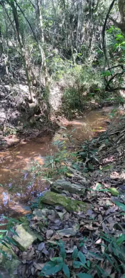 Imóvel em Centro, Caetanópolis - MG