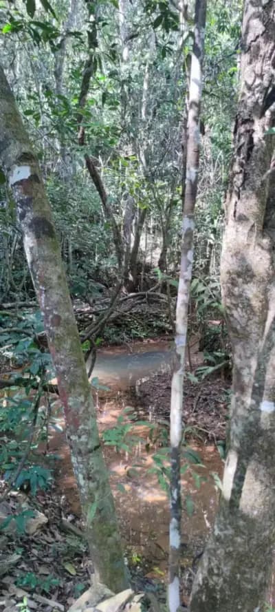 Imóvel em Centro, Caetanópolis - MG — foto 2
