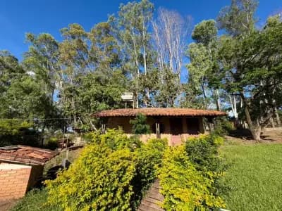 Imóvel em Varzea da Lagoa Andiroba, Esmeraldas - MG — foto 3
